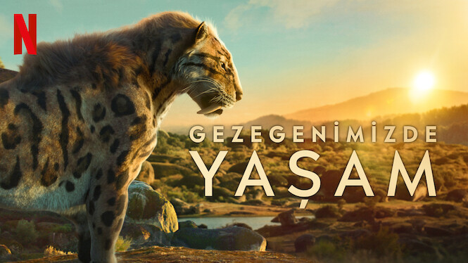 Gezegenimizde Yaşam